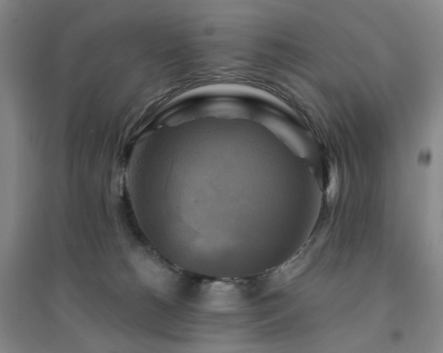 X0000094420180200711151328