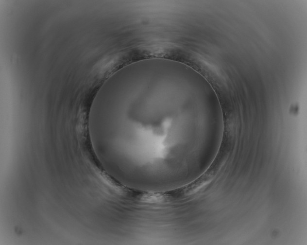 X0000094420181200711151328