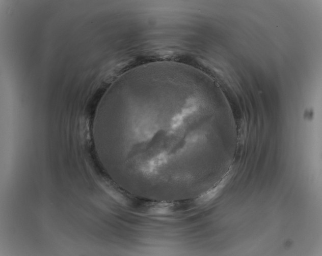 X0000094420182200711151328