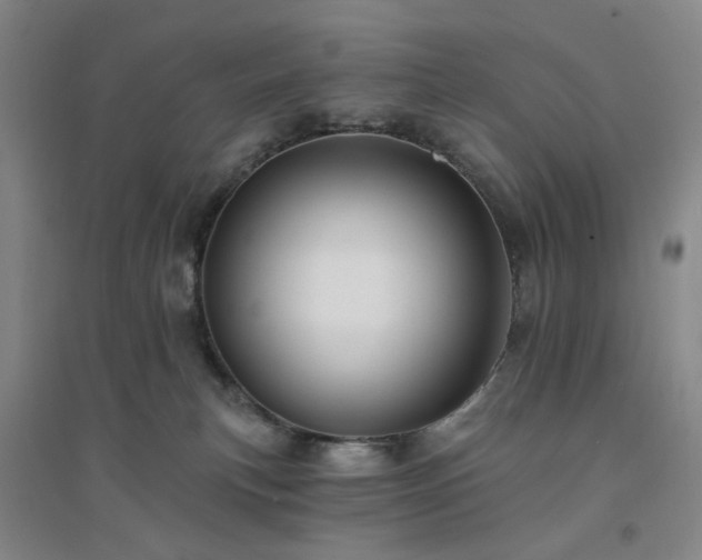 X0000094420183200711151328