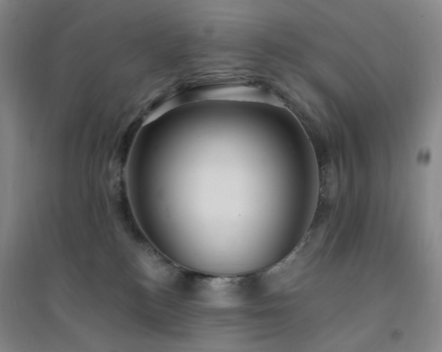 X0000094420184200711151328