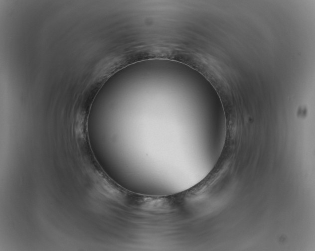 X0000094420185200711151328