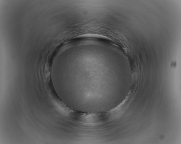 X0000094420186200711151328