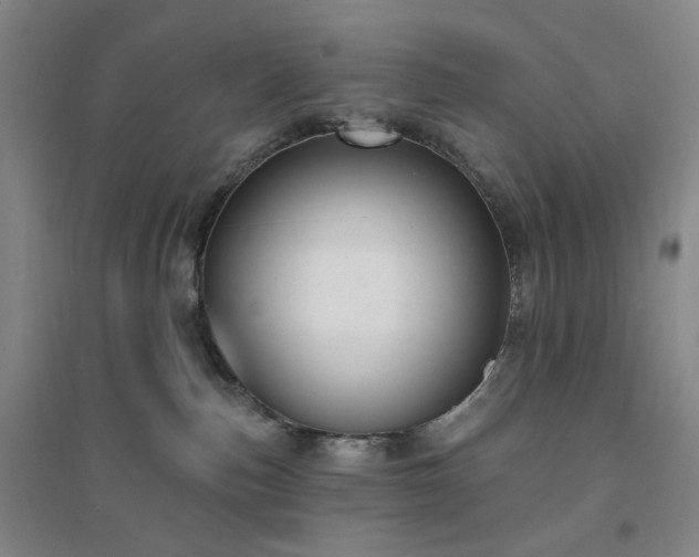 X0000094420187200711151328