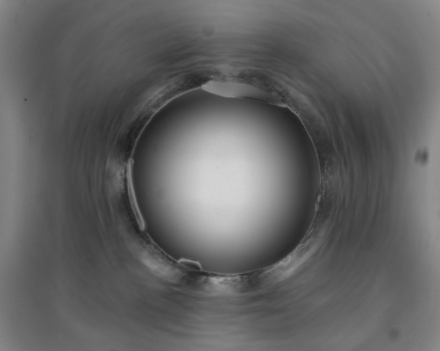 X0000094420188200711151328