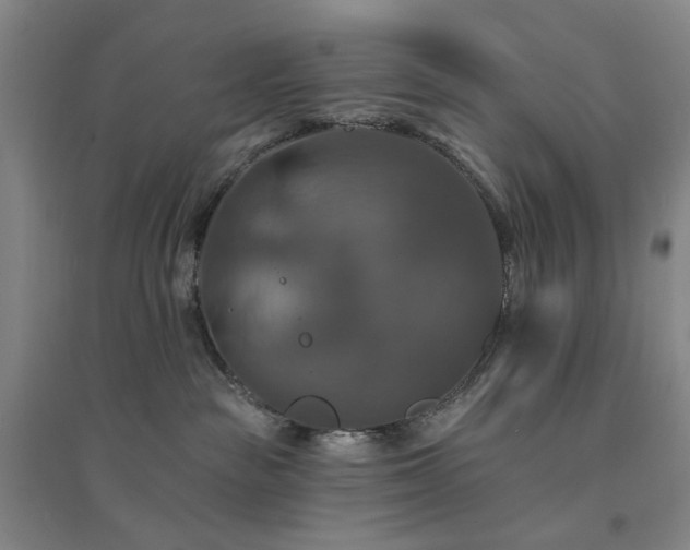 X0000094420189200711151328