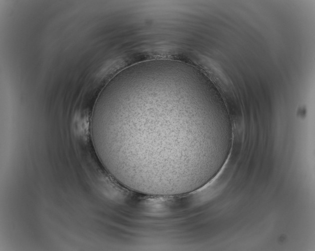 X0000094420190200711151328