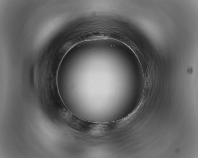 X0000094420191200711151328