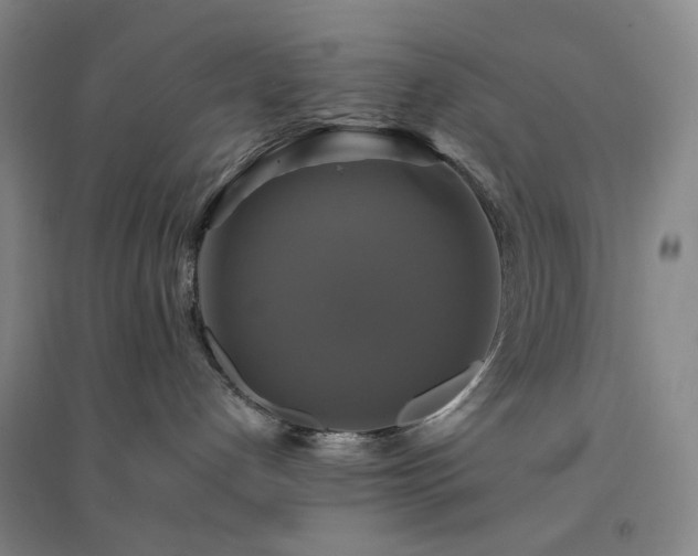 X0000094420192200711151328