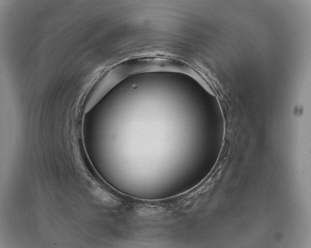 X0000094420193200711151328