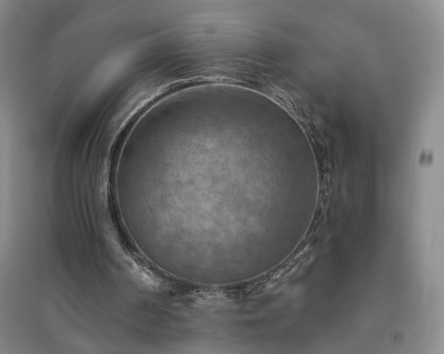 X0000094420194200711151328