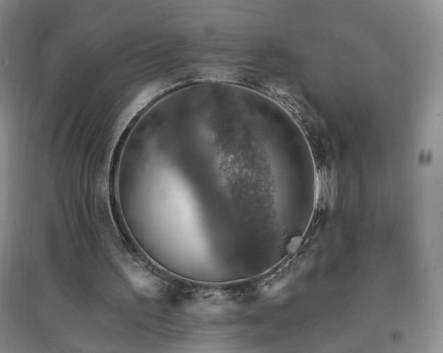 X0000094420195200711151328