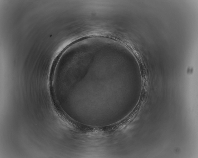 X0000094420196200711151328