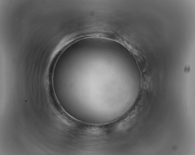 X0000094420198200711151328