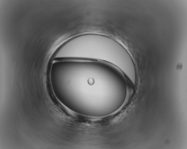 X0000094420199200711151328