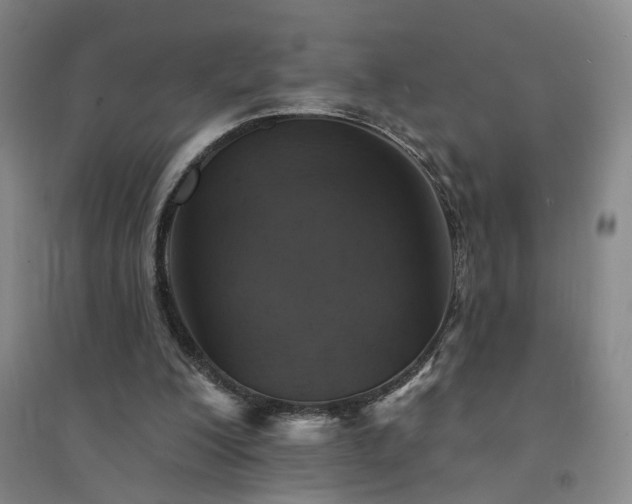 X0000094420200200711151328