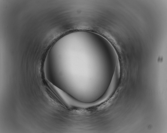 X0000094420201200711151328
