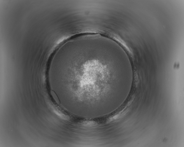 X0000094420203200711151328