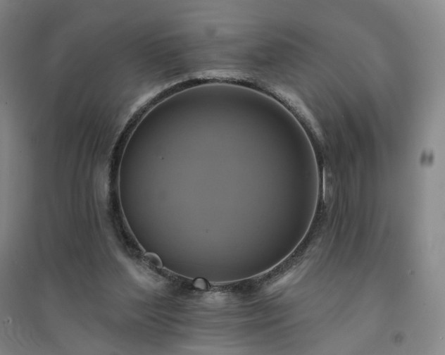 X0000094420204200711151328