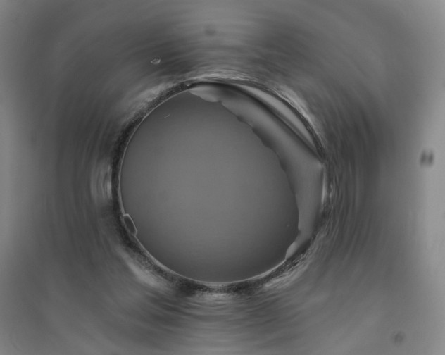 X0000094420205200711151328