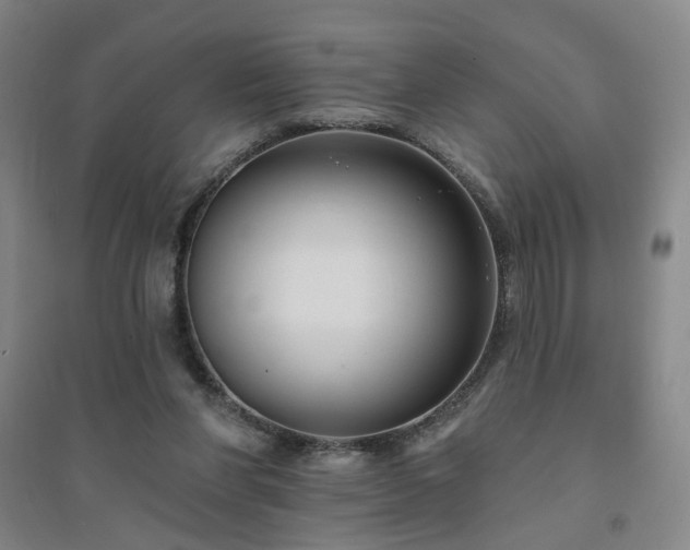 X0000094420206200711151328