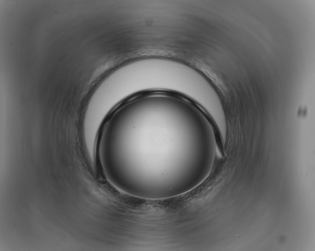 X0000094420207200711151328