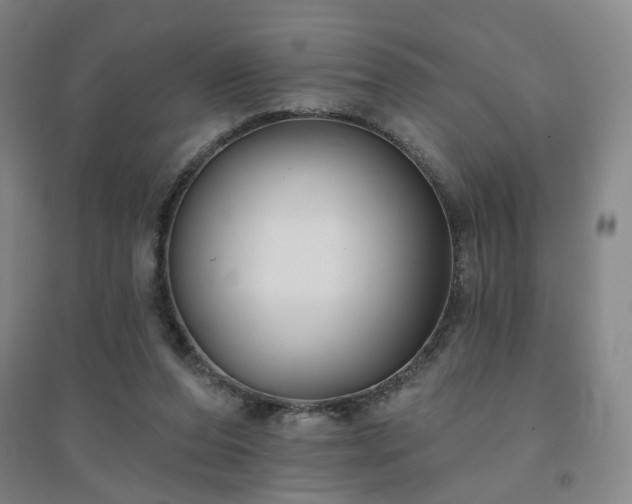 X0000094420208200711151328