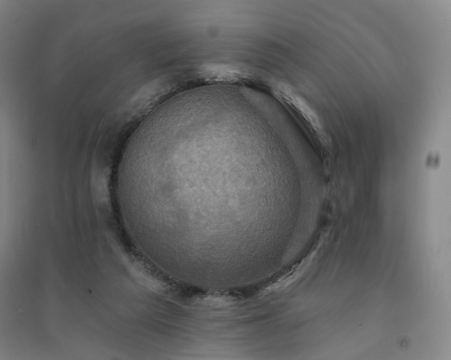 X0000094420209200711151328