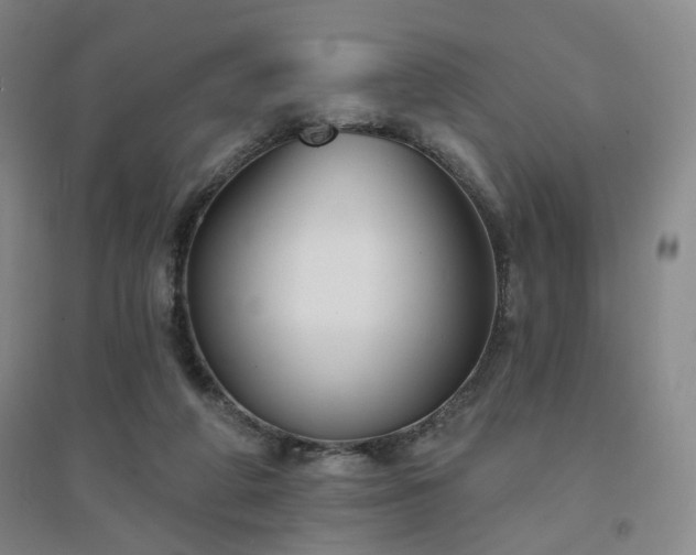 X0000094420210200711151328