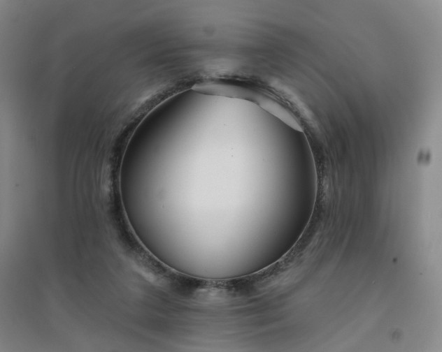 X0000094420211200711151327
