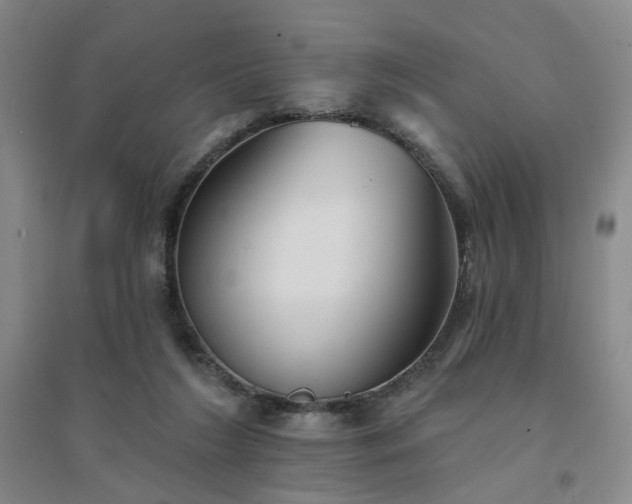 X0000094420212200711151327