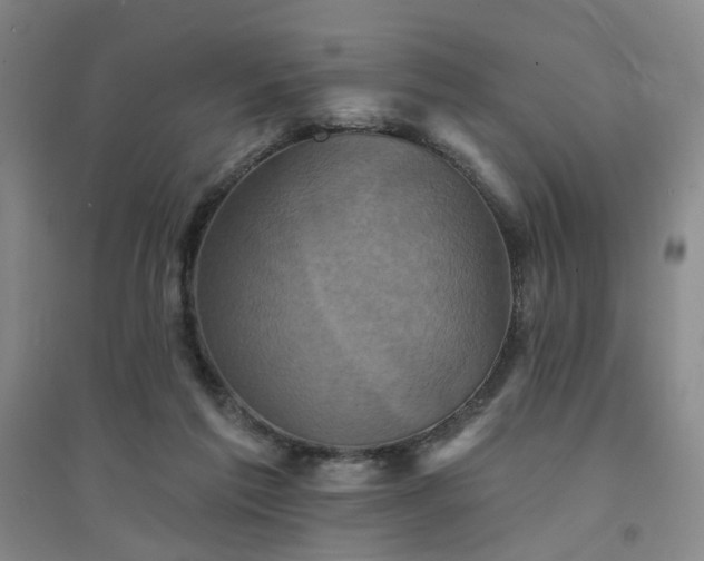 X0000094420213200711151327