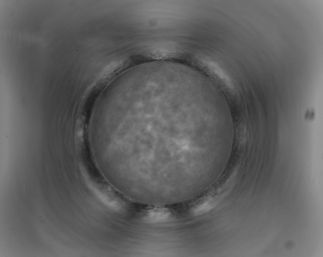 X0000094420214200711151327