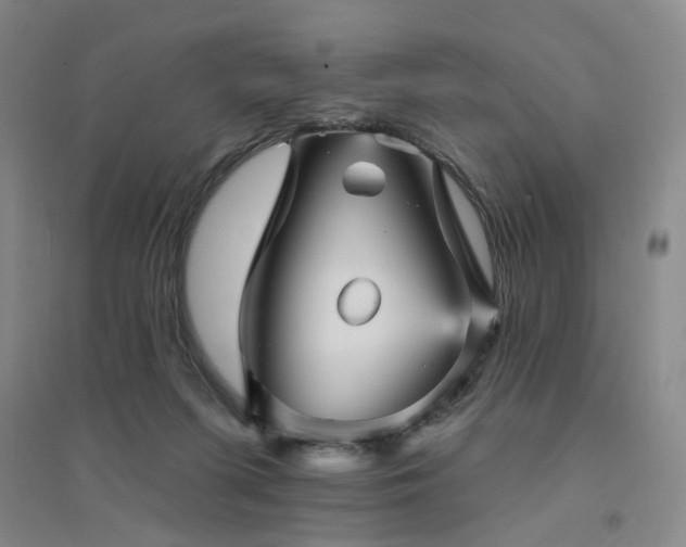 X0000094420215200711151327