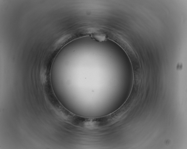 X0000094420216200711151327