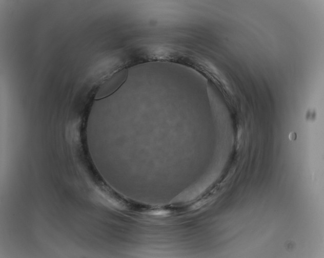 X0000094420217200711151327