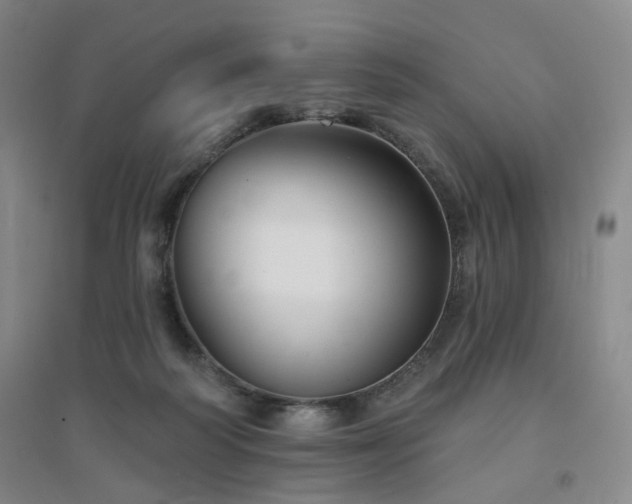 X0000094420218200711151327