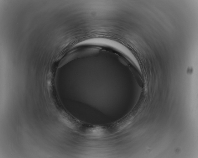 X0000094420219200711151327