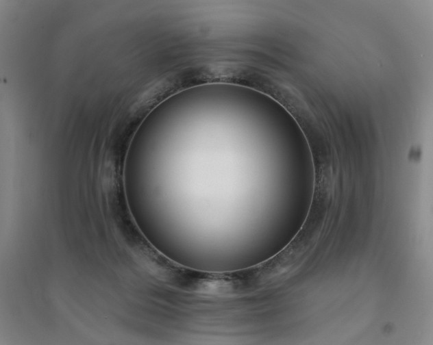 X0000094420220200711151327