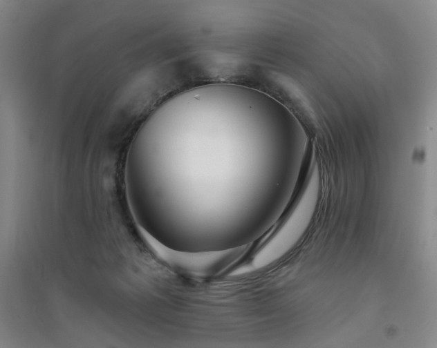 X0000094420221200711151327