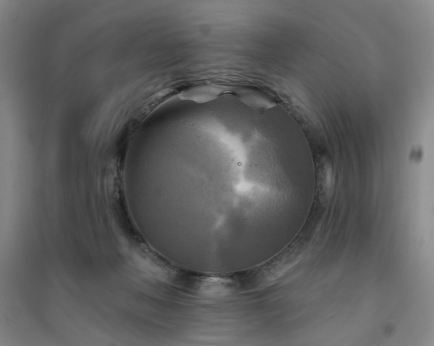 X0000094420222200711151327