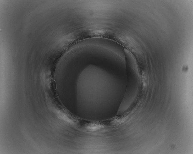X0000094420223200711151327