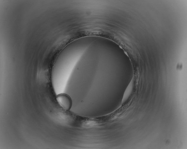 X0000094420224200711151327