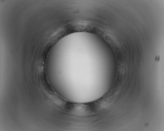 X0000094420226200711151327