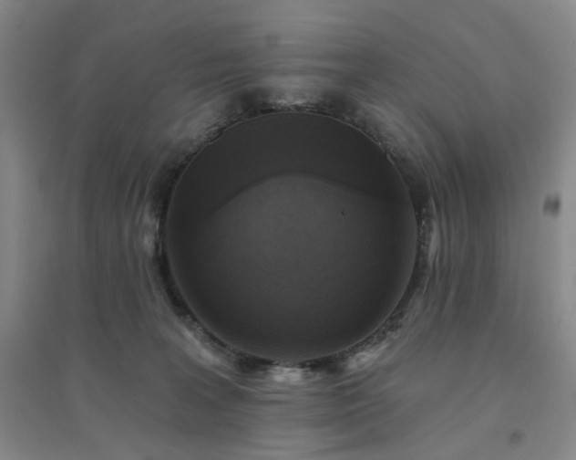 X0000094420227200711151327