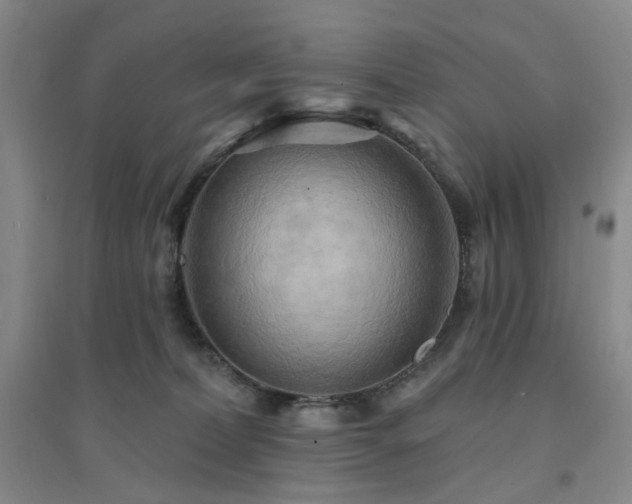 X0000094420228200711151327