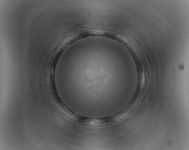X0000094420229200711151327