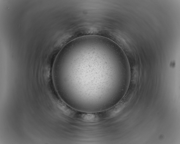 X0000094420230200711151327