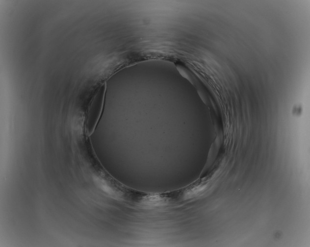 X0000094420231200711151327