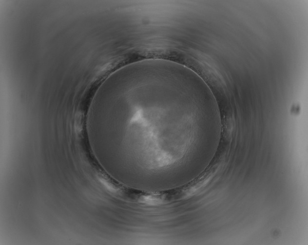 X0000094420232200711151327